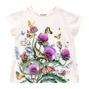 T Shirts Tops Dziewczynka Molo Elly Garden Top | PL0001427