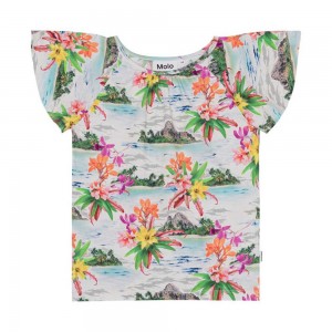 T Shirts Tops Dziewczynka Molo Rachel Tropical Islands | PL0000516