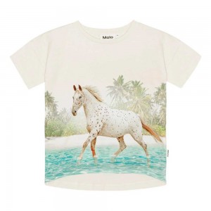 T Shirts Tops Dziewczynka Molo Raeesa Horse On Beach | PL0000523