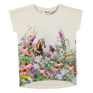 T Shirts Tops Dziewczynka Molo Ragnhilde Wild Horses | PL0000585