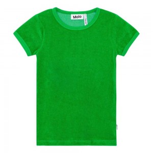 T Shirts Tops Dziewczynka Molo Raquel Classic Green | PL0000504