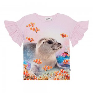 T Shirts Tops Dziewczynka Molo Rayah Seal Reef | PL0000498