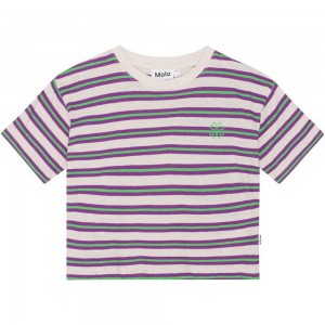 T Shirts Tops Dziewczynka Molo Reinette Purple Green Stripe | PL0000531