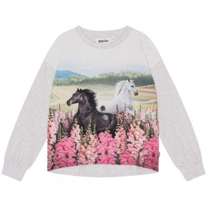 T Shirts Tops Dziewczynka Molo Reniza Meadow Horses | PL0000573