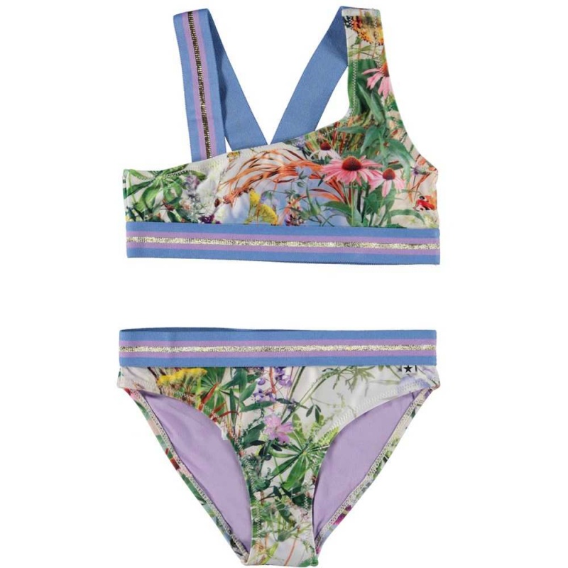 Bikinis Molo Nicola Wild Nature | PL0001053