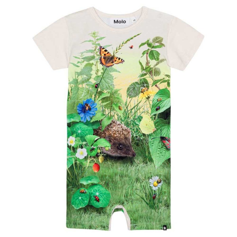 Bodies Babysuits Chłopięce Molo Finn Nature Living | PL0001246