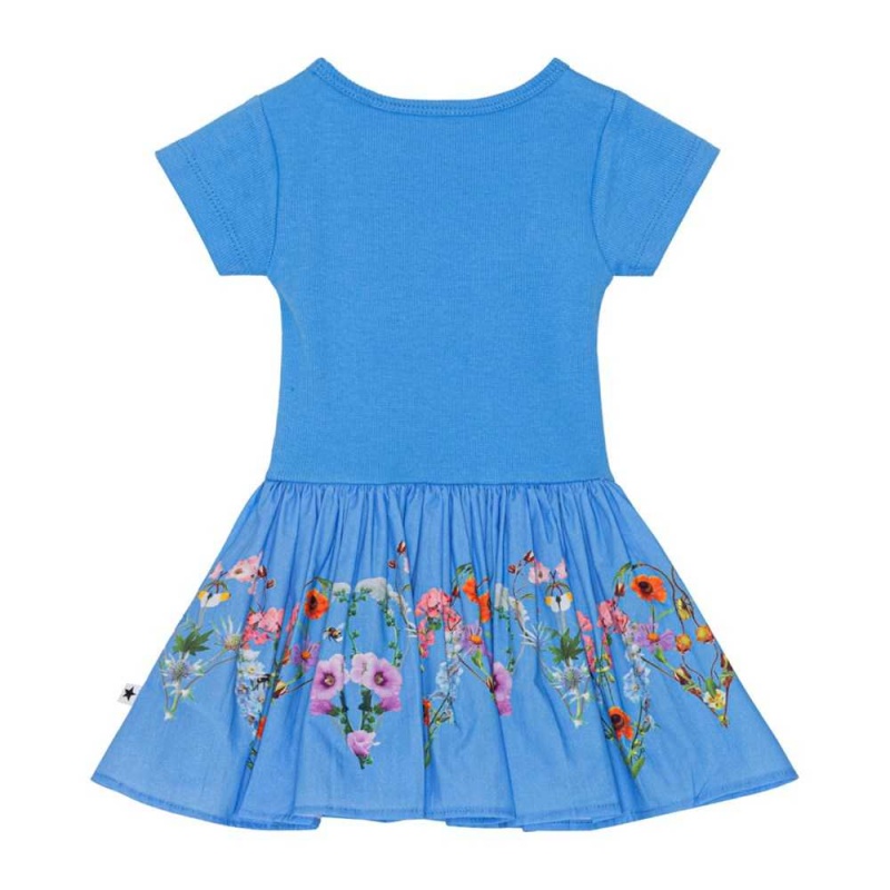 Dresses Dziewczynka Molo Carin Little Garden | PL0001308