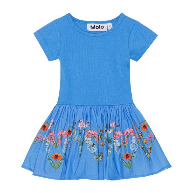 Dresses Dziewczynka Molo Carin Little Garden | PL0001308