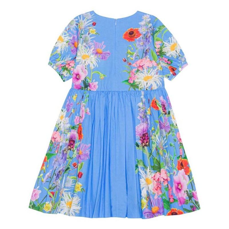 Dresses Dziewczynka Molo Casey Blue Garden | PL0000245