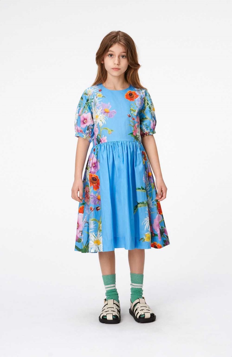 Dresses Dziewczynka Molo Casey Blue Garden | PL0000245