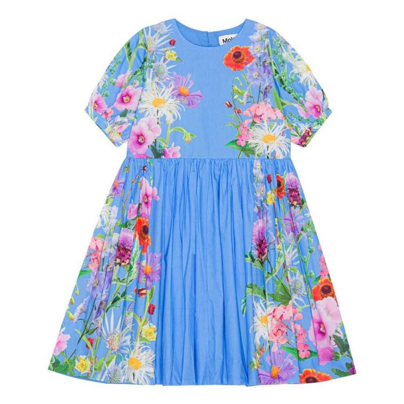 Dresses Dziewczynka Molo Casey Blue Garden | PL0000245