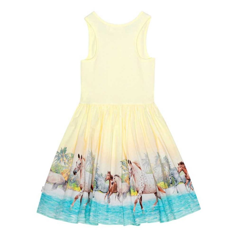 Dresses Dziewczynka Molo Cassandra Beach Horses | PL0000238