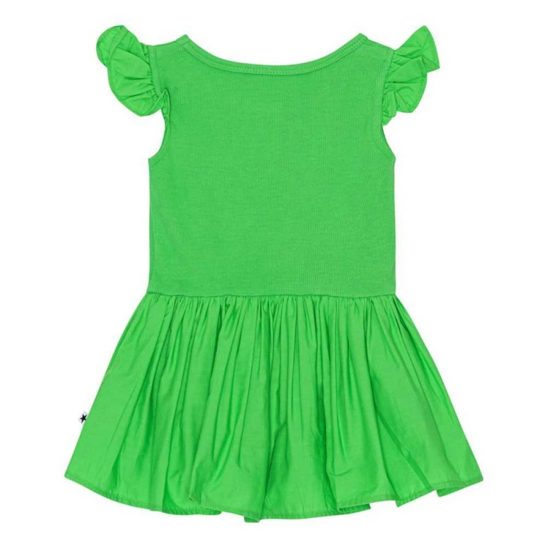 Dresses Dziewczynka Molo Cimi Classic Green | PL0001302