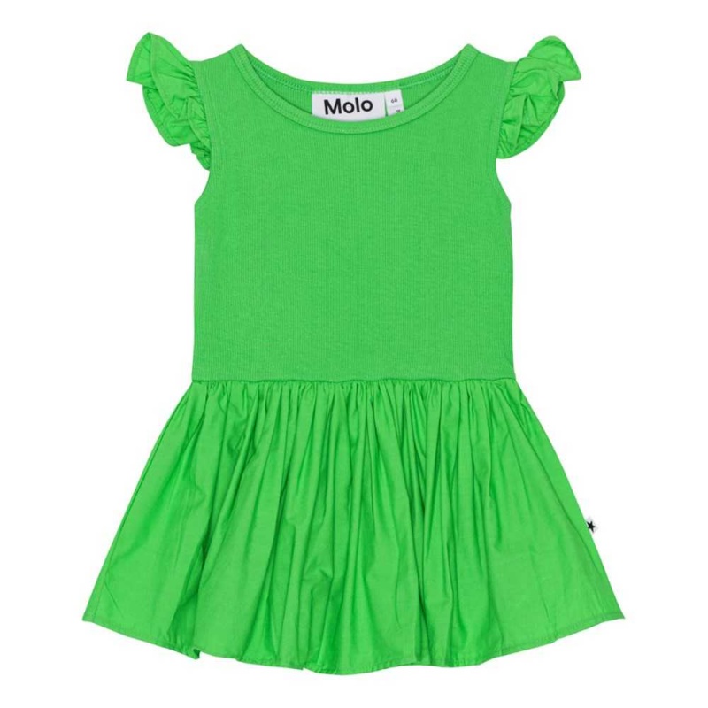 Dresses Dziewczynka Molo Cimi Classic Green | PL0001302