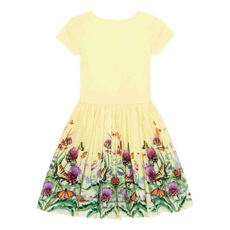 Dresses Dziewczynka Molo Cissa Artichoke Patch | PL0000249