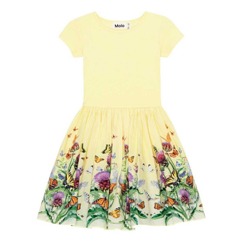 Dresses Dziewczynka Molo Cissa Artichoke Patch | PL0000249