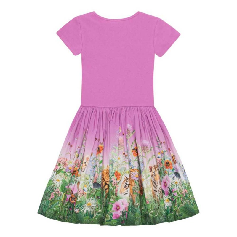 Dresses Dziewczynka Molo Cissa Four Little Cubs | PL0000250