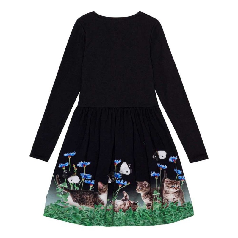 Dresses Dziewczynka Molo Credence Yin Yang Kitten | PL0000275