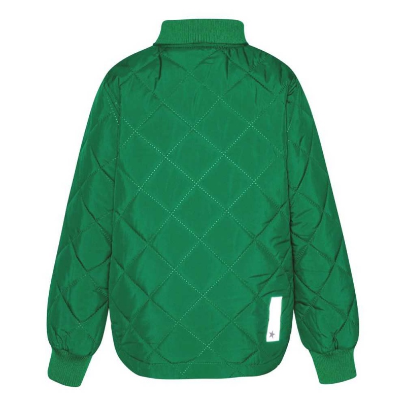 Fleece Softshell Molo Hallow Vivid Green | PL0000146