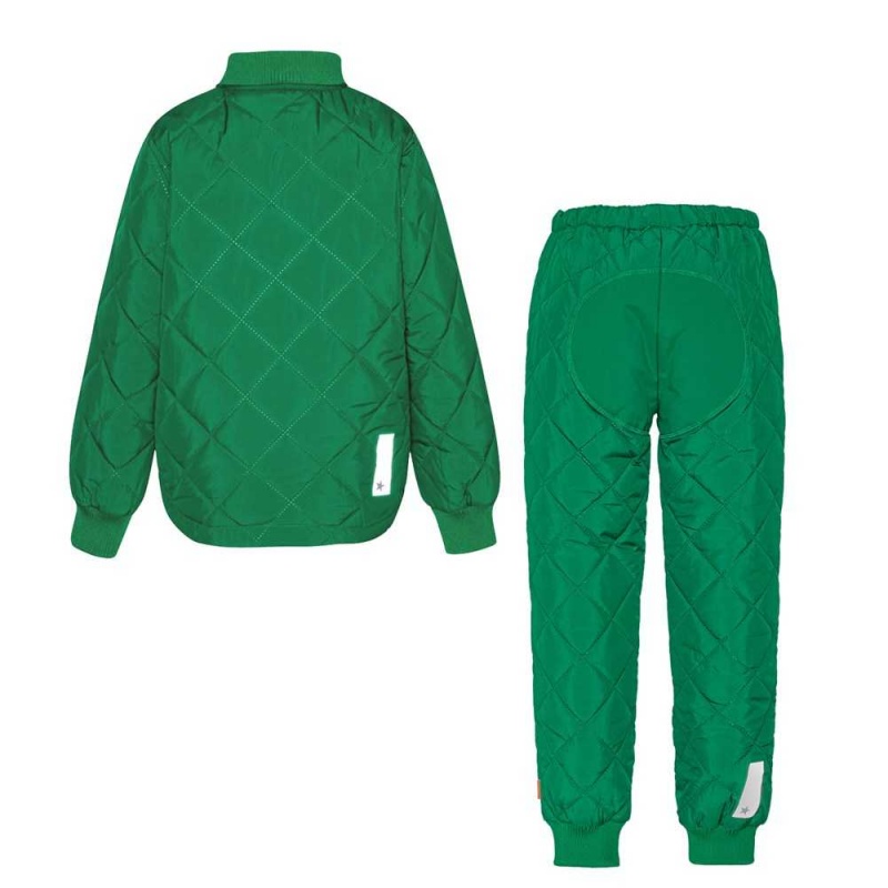 Fleece Softshell Molo Hawkins Vivid Green | PL0000148