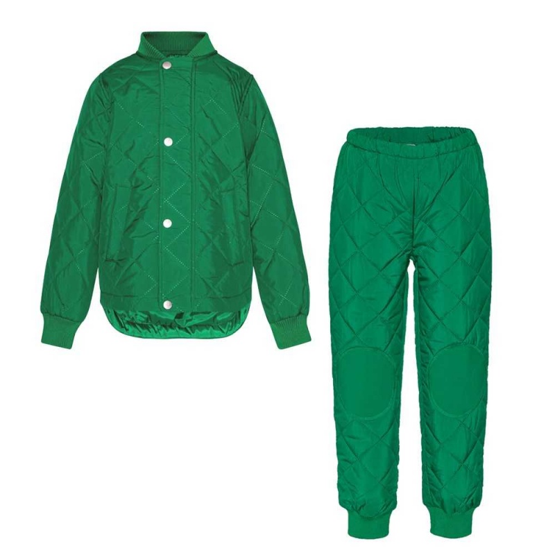 Fleece Softshell Molo Hawkins Vivid Green | PL0000148