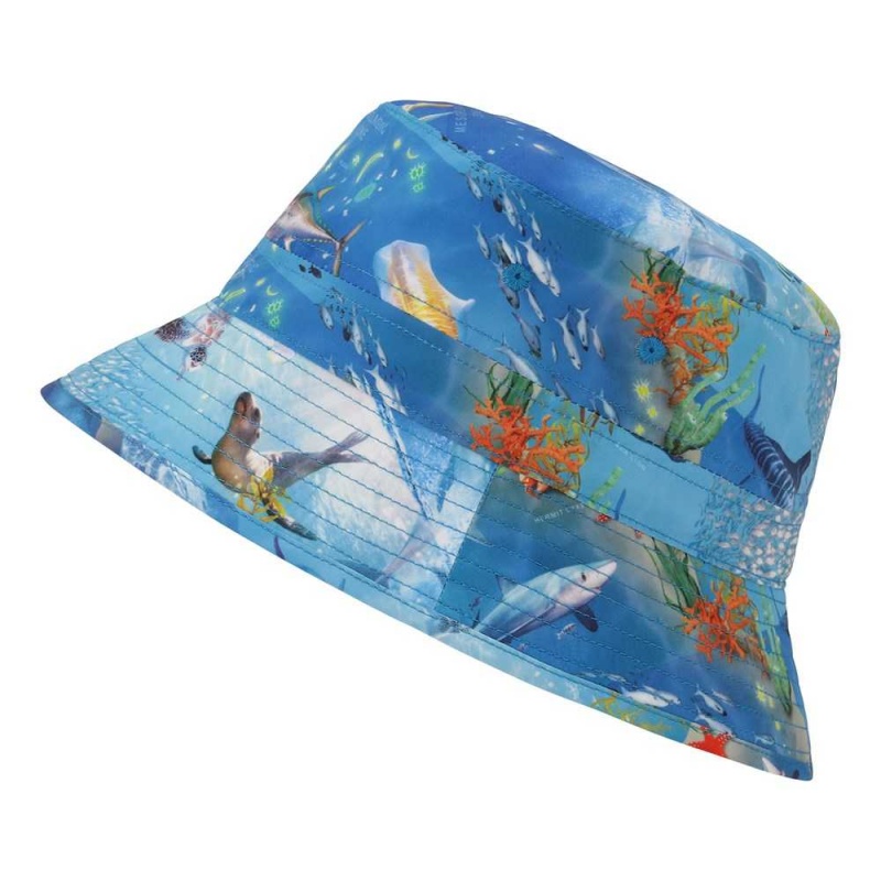 Hats & Caps Molo Niks Ocean Zones | PL0000937