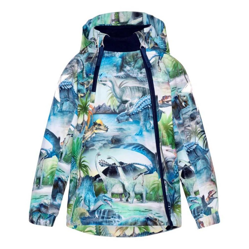 Jackets & Coats Molo Hopla Dino Fantastic | PL0000018