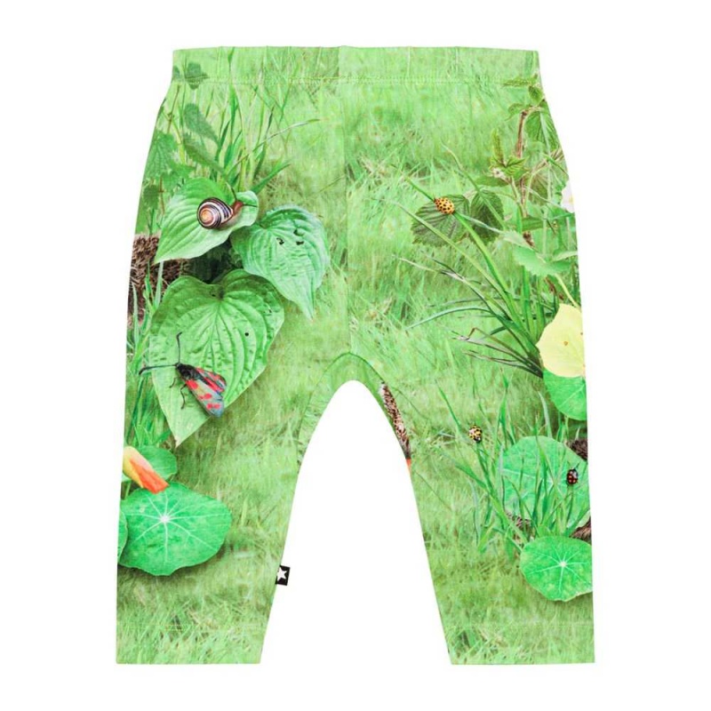 Pants Jeans Dziewczynka Molo Sabb Garden Nature | PL0001366