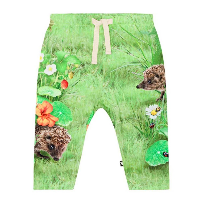 Pants Jeans Dziewczynka Molo Sabb Garden Nature | PL0001366