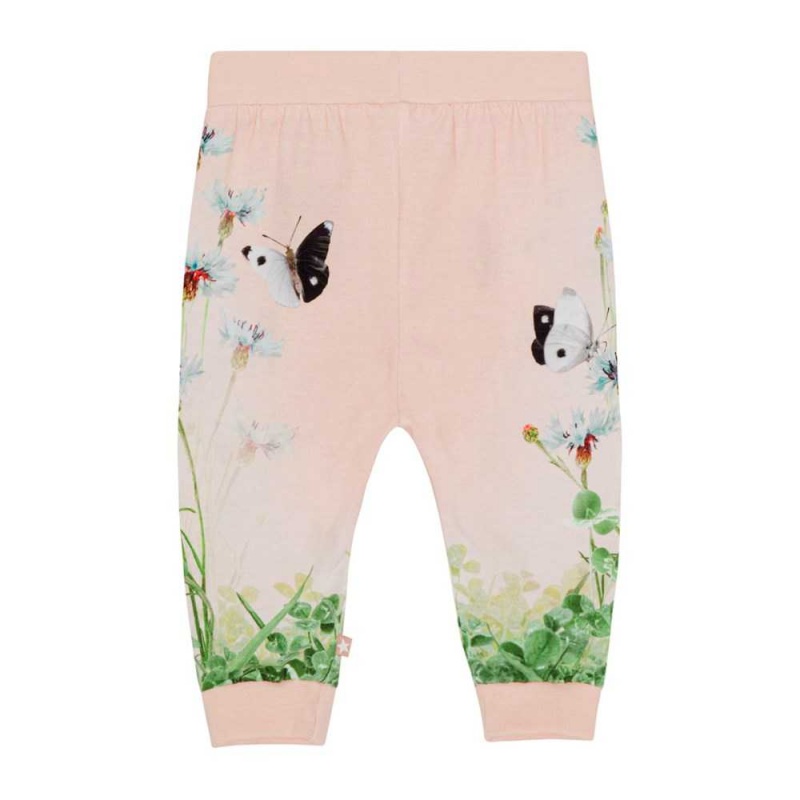 Pants Jeans Dziewczynka Molo Susanne Kitten Pants | PL0001367