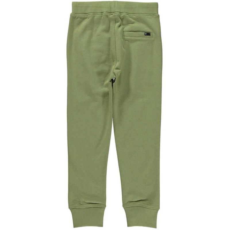 Pants & Jeans Chłopięce Molo Afon Sage | PL0000656