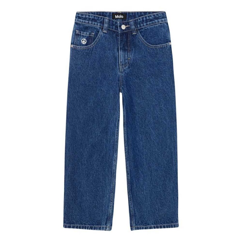 Pants & Jeans Chłopięce Molo Aska Blue Denim | PL0000661