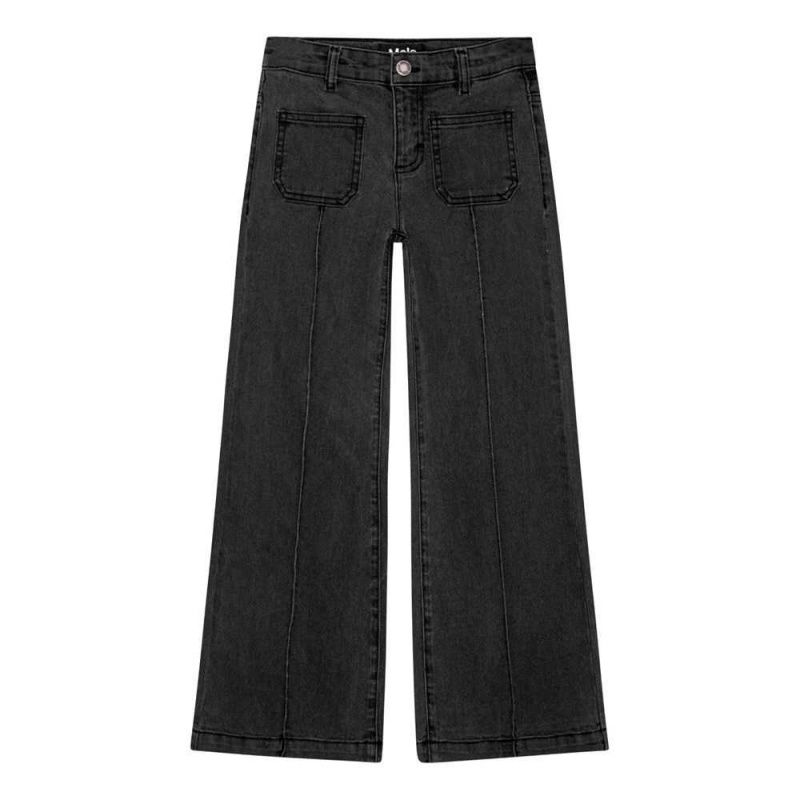 Pants & Jeans Dziewczynka Molo Adina Charcoal | PL0000362