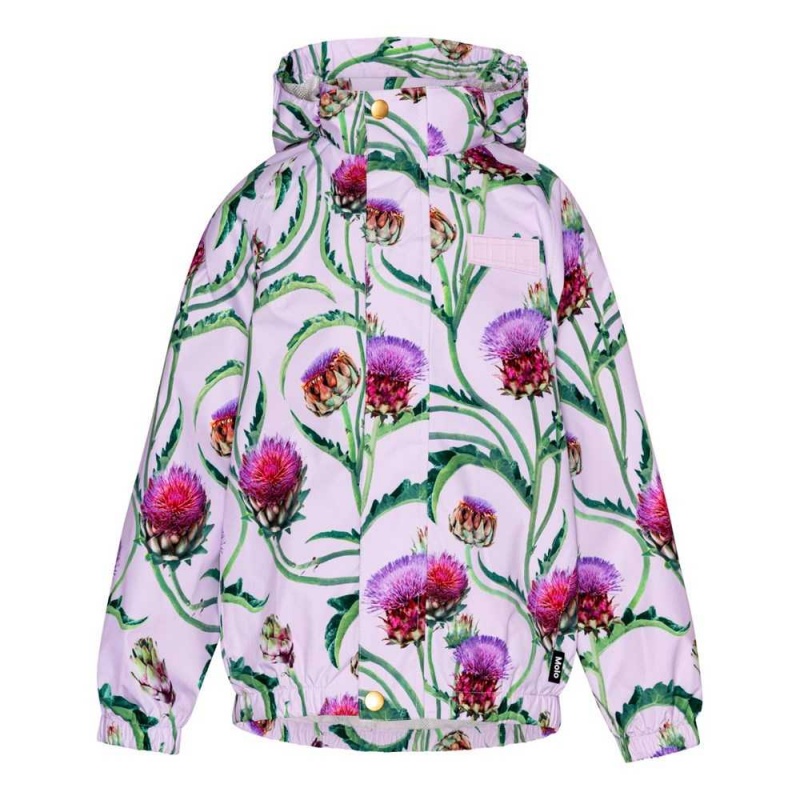 Rainwear Molo Waiton Artichoke Bloom | PL0000061