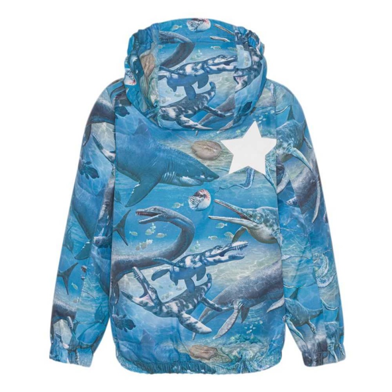 Rainwear Molo Waiton Big Ancient Sea | PL0000086