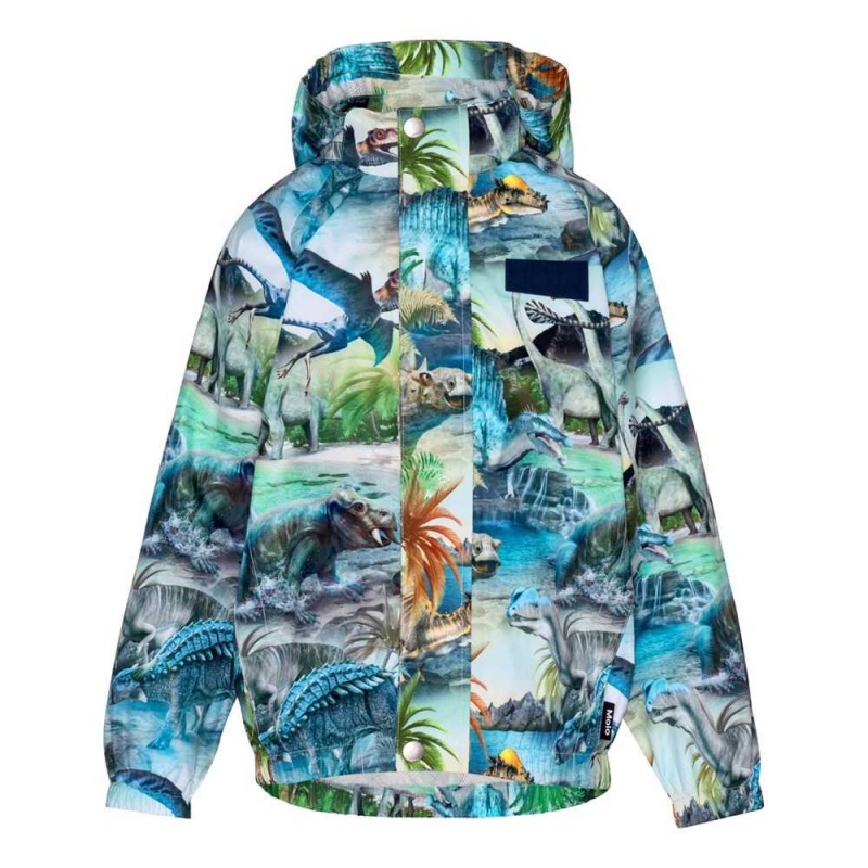 Rainwear Molo Waiton Dino Fantastic | PL0000064