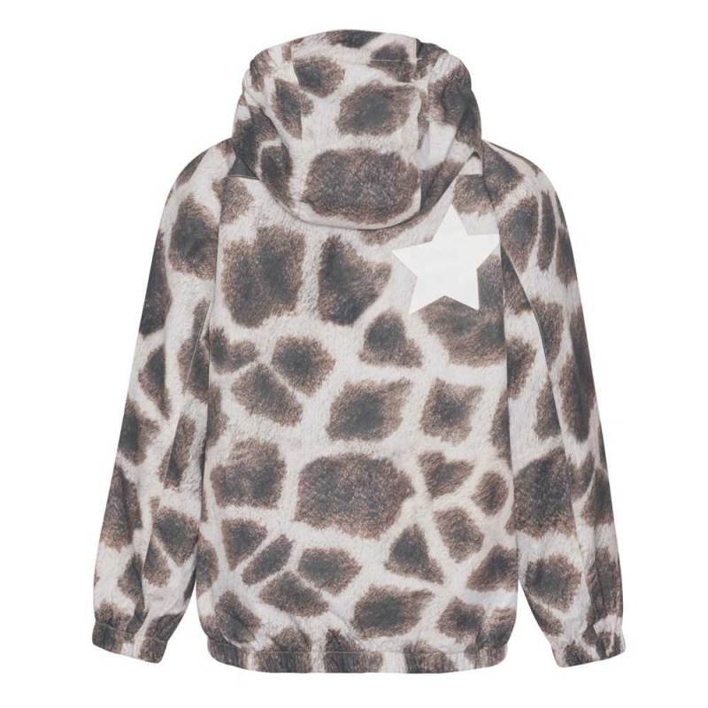 Rainwear Molo Waiton Giraffe | PL0000091