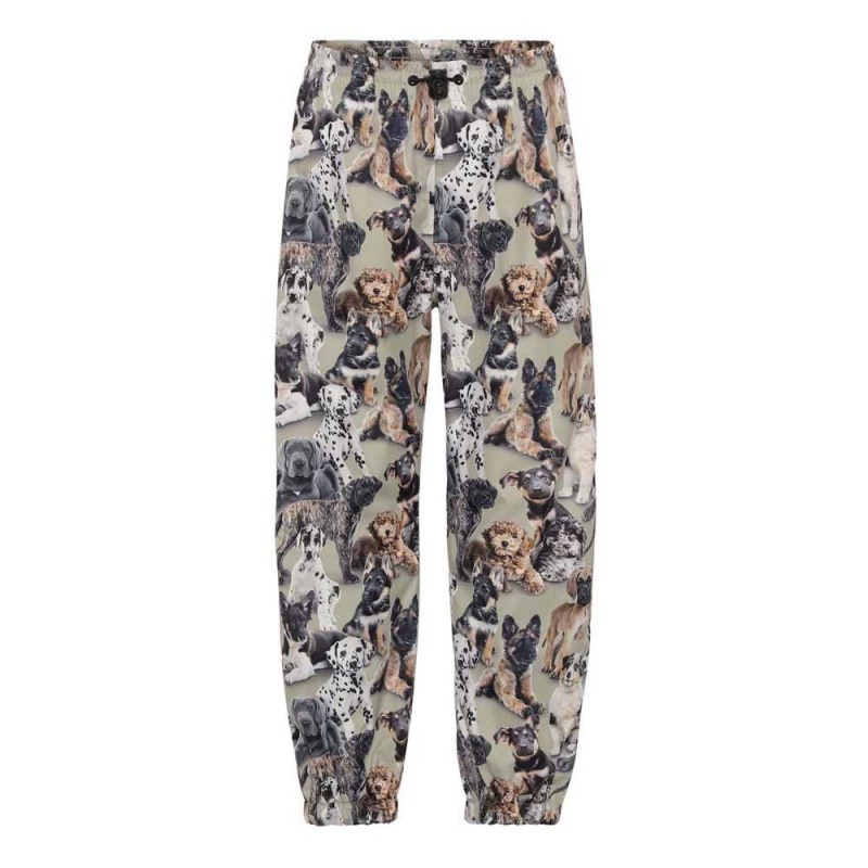 Rainwear Molo Waits Pups Camo | PL0000096