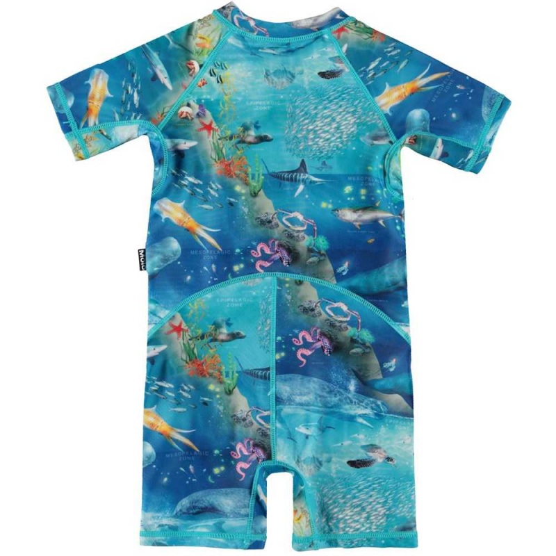 Rash guard suits Molo Neka Ocean Zones | PL0001063