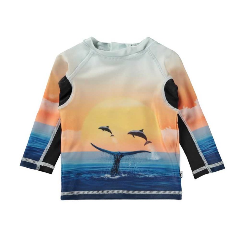 Rash guards Molo Nemo Ocean Smile | PL0001093