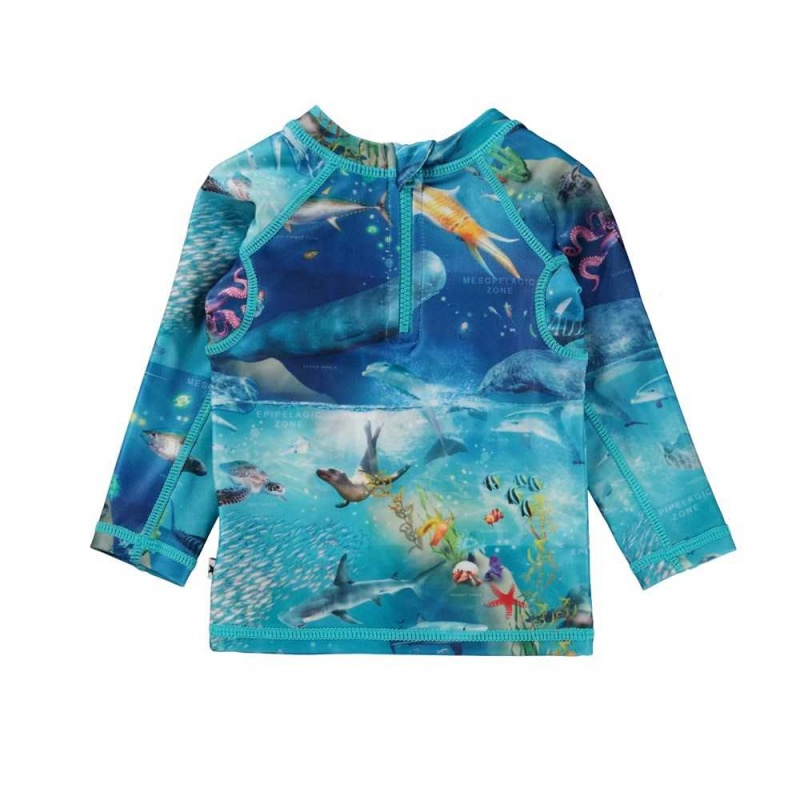 Rash guards Molo Nemo Ocean Zones | PL0001087