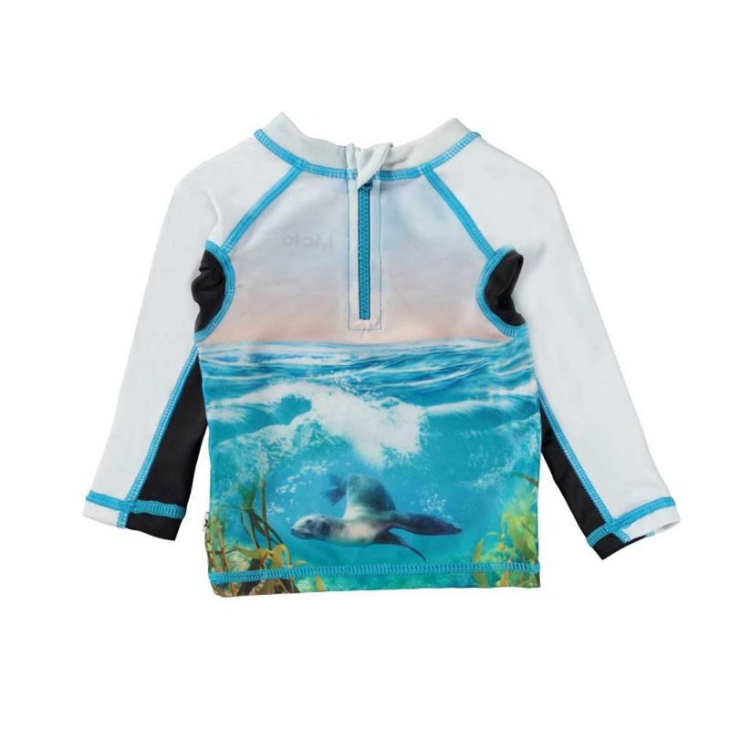 Rash guards Molo Nemo Sealion | PL0001077