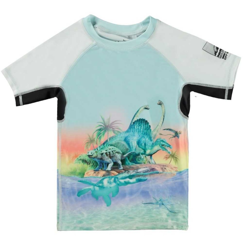 Rash guards Molo Neptune Ancient Island | PL0001085