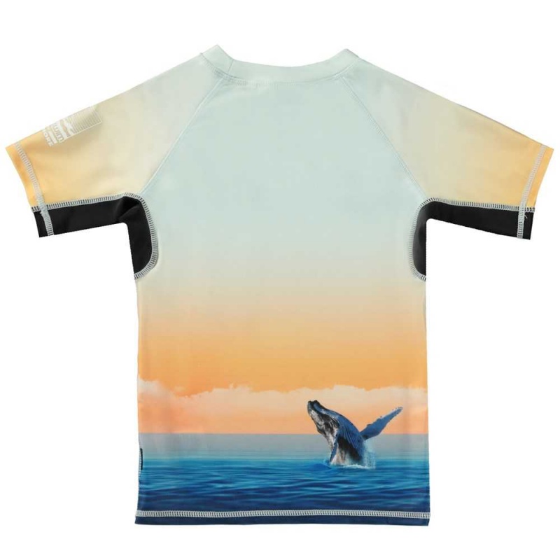 Rash guards Molo Neptune Ocean Smile | PL0001089