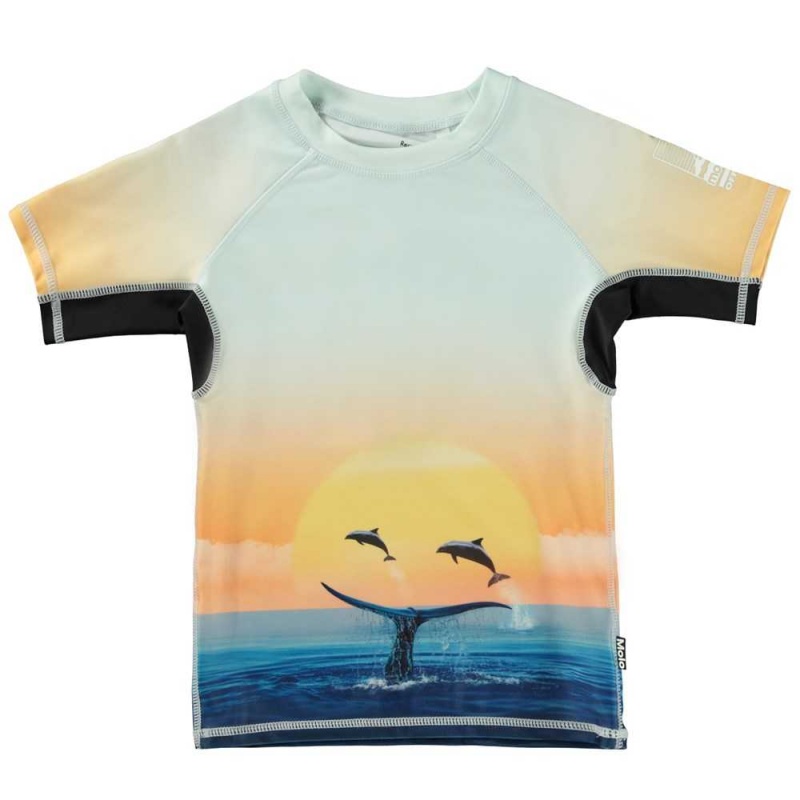 Rash guards Molo Neptune Ocean Smile | PL0001089