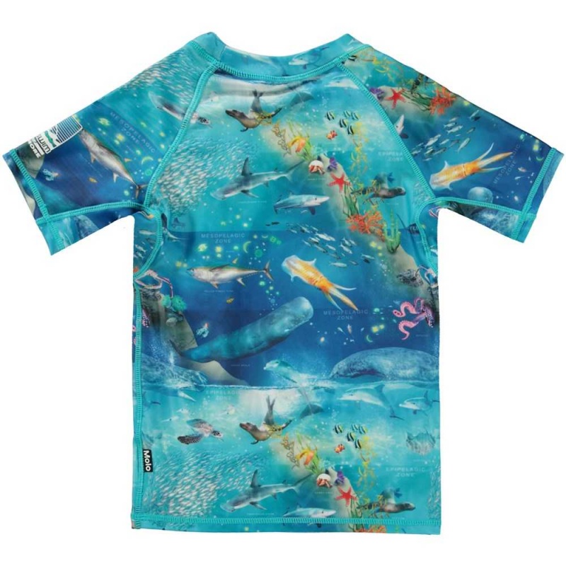 Rash guards Molo Neptune Ocean Zones | PL0001086