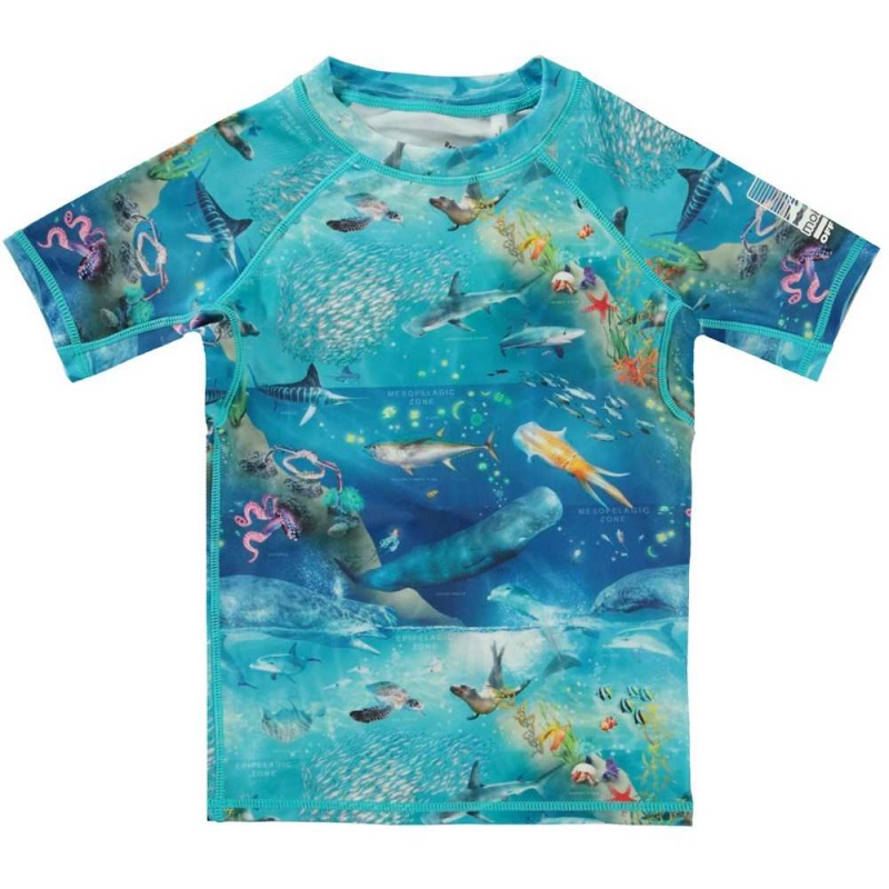 Rash guards Molo Neptune Ocean Zones | PL0001086