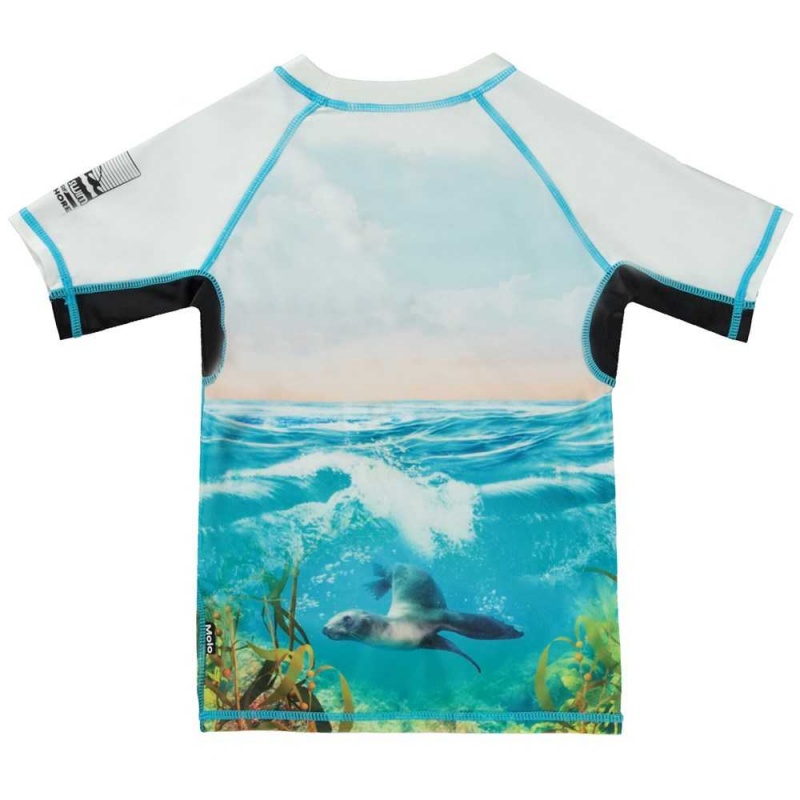 Rash guards Molo Neptune Sealion | PL0001074