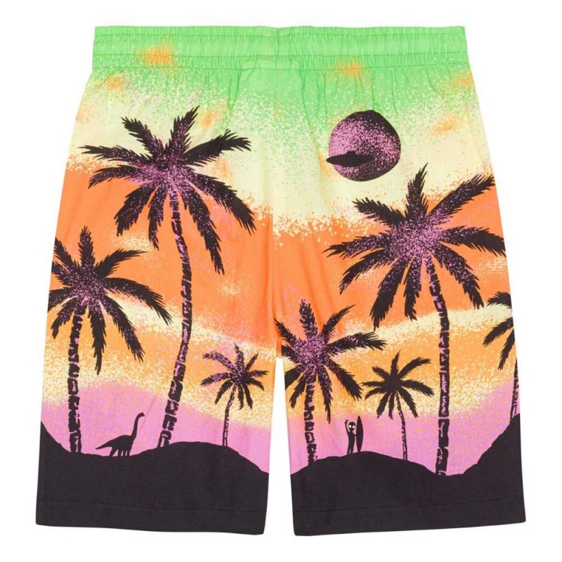 Shorts Chłopięce Molo Adi Alien Island | PL0000688