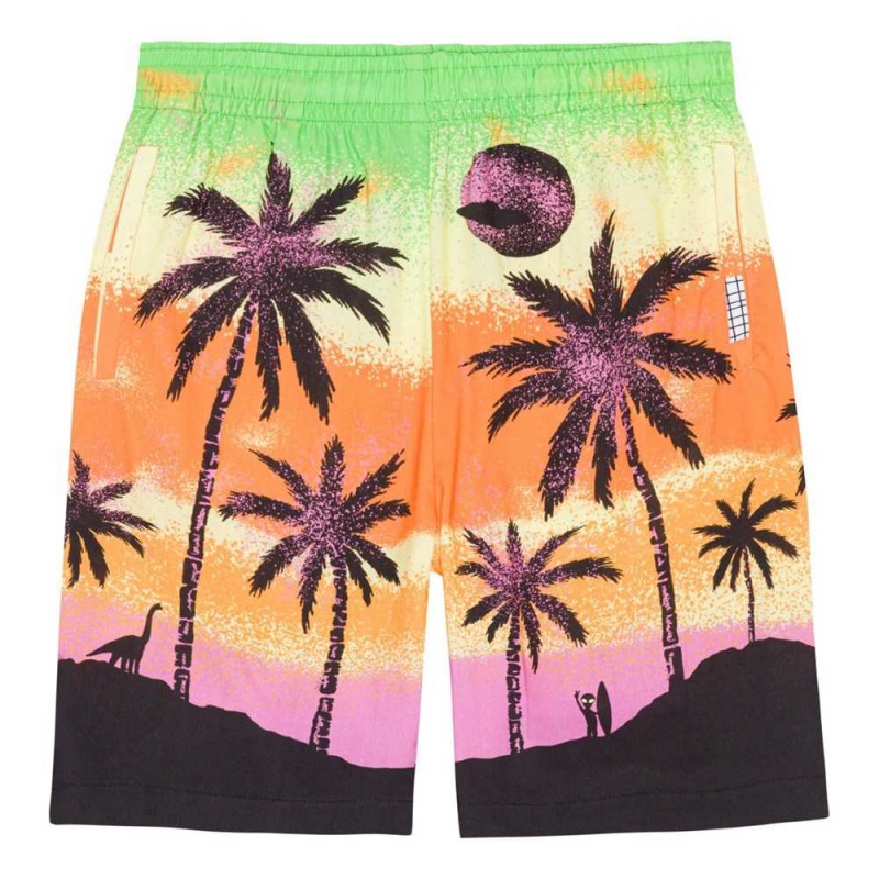 Shorts Chłopięce Molo Adi Alien Island | PL0000688